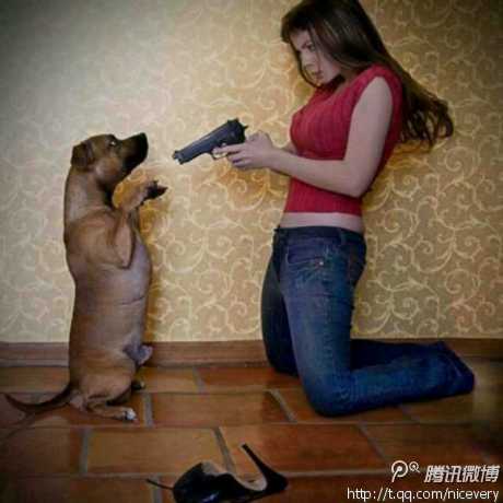 马騳骉广州话怎么读-马騳骉 怎么读(注音) _感人