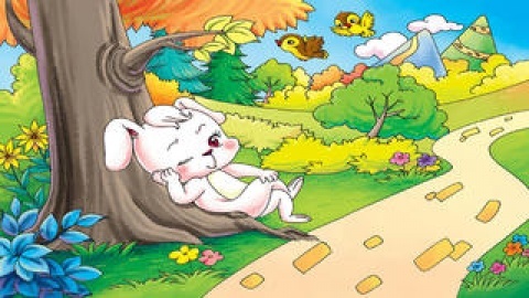 龟兔赛跑-睡前童话ibigtoy-child10.猕猴桃蜜蜂授粉图片